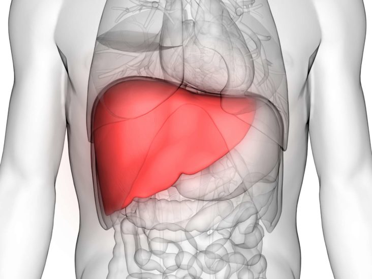 liver transplant