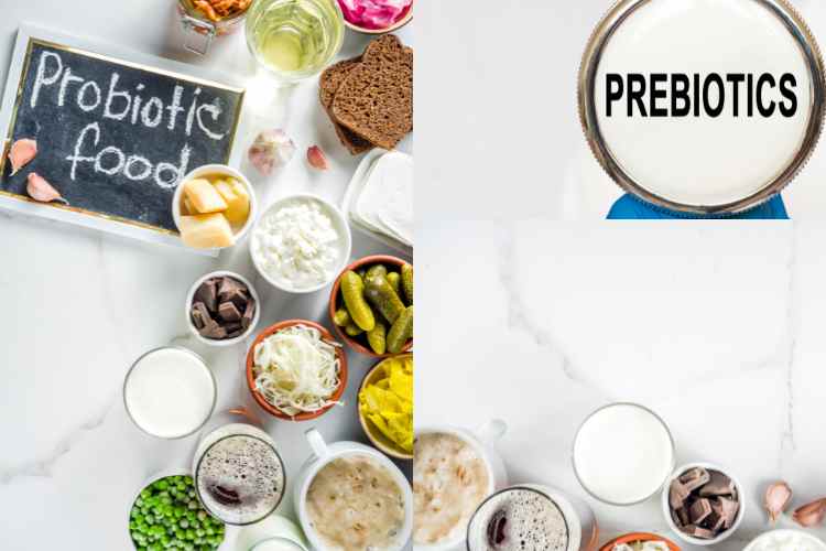 Probiotics and Prebiotics to Avoid Non-Communicable Diseases