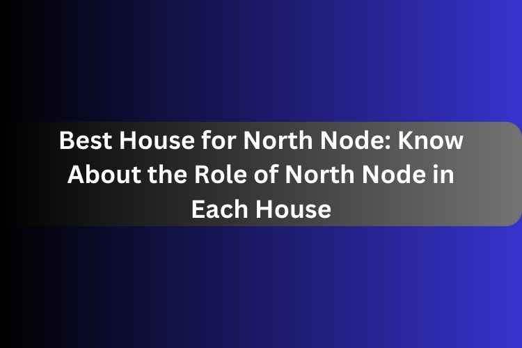 Best House for North Node