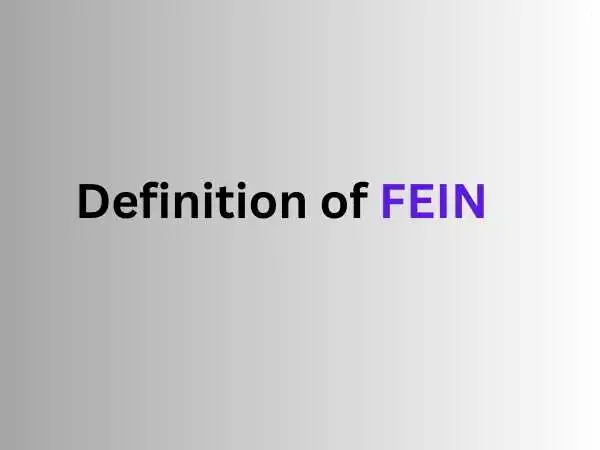 Definition of FEIN