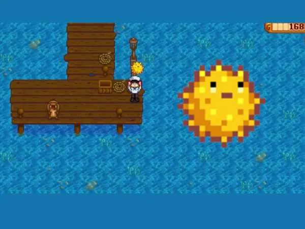 Pufferfish in Stardew Valley